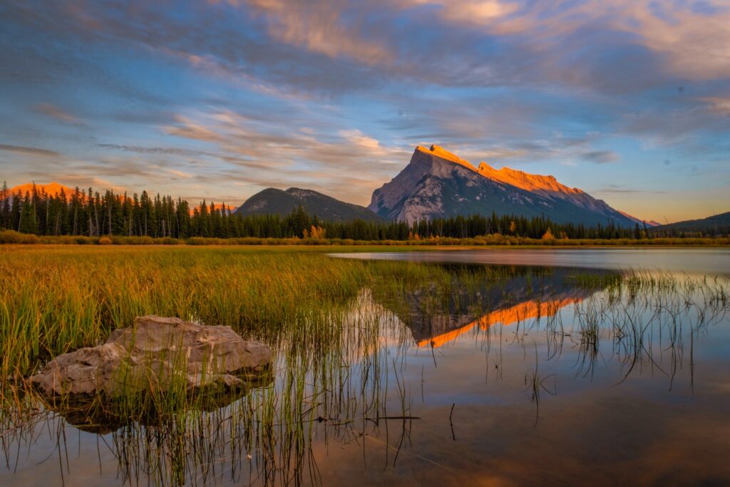 NP Banff